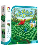la belle au bois dormant boîte