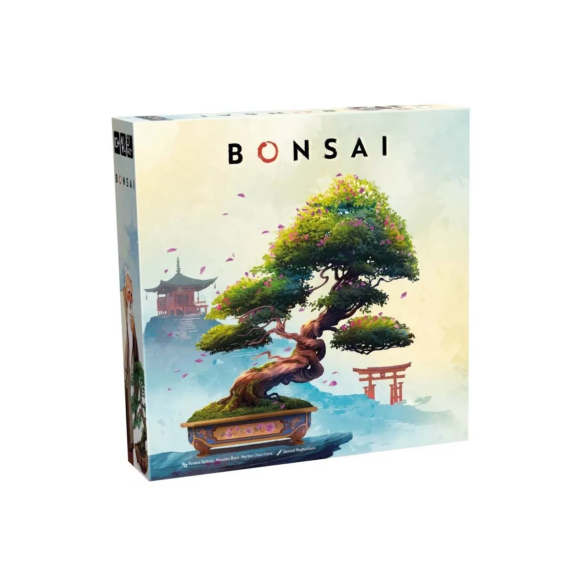 bonsai boîte