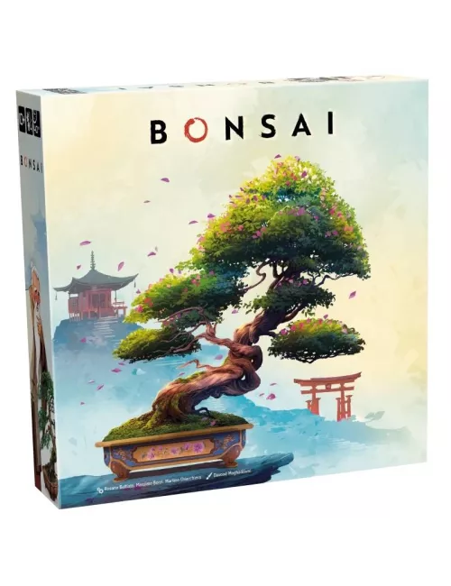 bonsai boîte