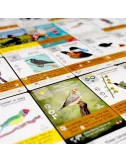 wingspan : fan art pack - extension exemple 1
