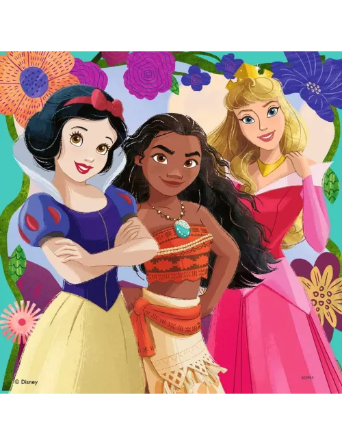 Coffret Puzzles Disney Princesses : Girl Power - 3 x 49 pièces - Puzzle - Ludum.fr