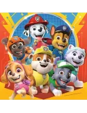 Coffret Puzzles Pat'Patrouille : Prêts à secourir - 3 x 49 pièces - Puzzle - Ludum.fr