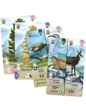 forêt mixte : alpes - extension plateau