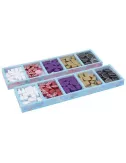 wyrmspan - colour insert - rangement pour boîte folded space plateau