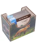 cascadia - colour insert - rangement pour boîte folded space exemple 3