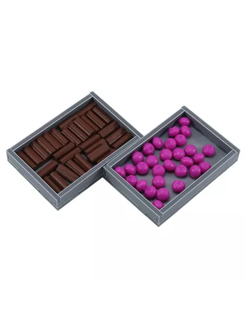 everdell - rangement pour boîte folded space exemple 3