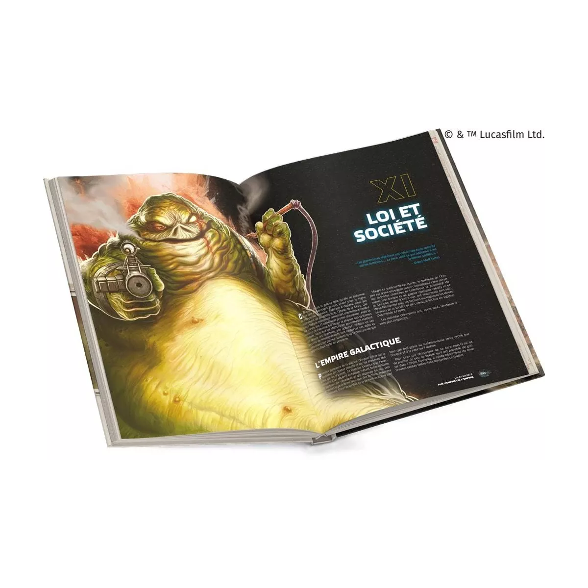 star wars aux confins de l’empire : livre de règles plateau