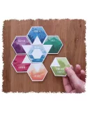 ecosfera exemple 1