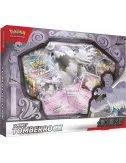 Pokémon : Coffret Tomberro-ex Octobre 2024 
