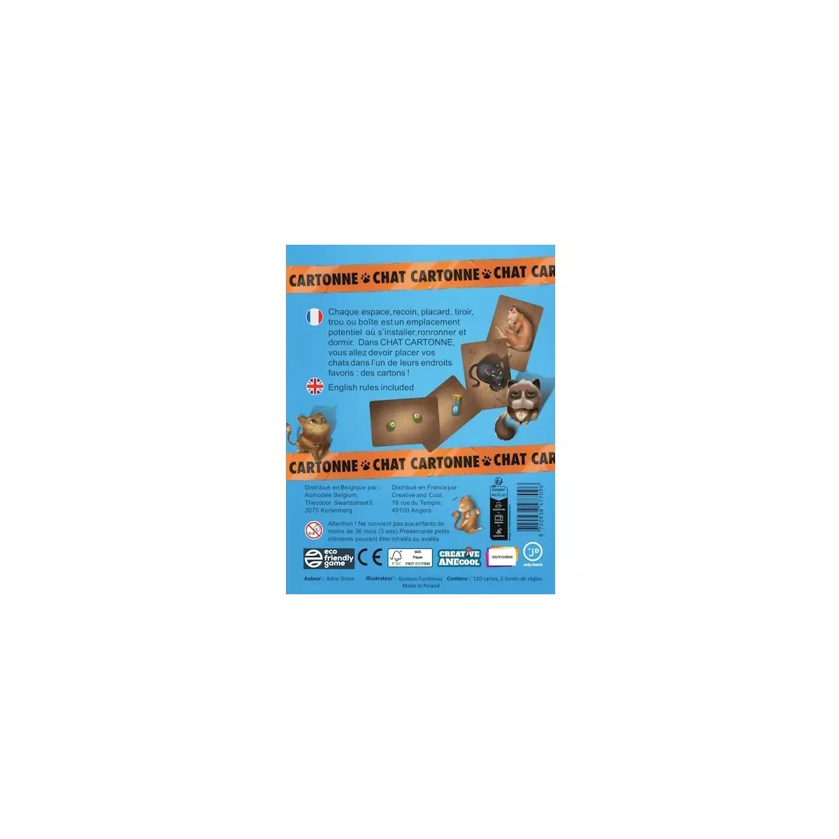 Chat Cartonne 
