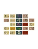 Pollen Jeux de société famille{image_id}