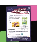 De la Glace aux Pingouins 