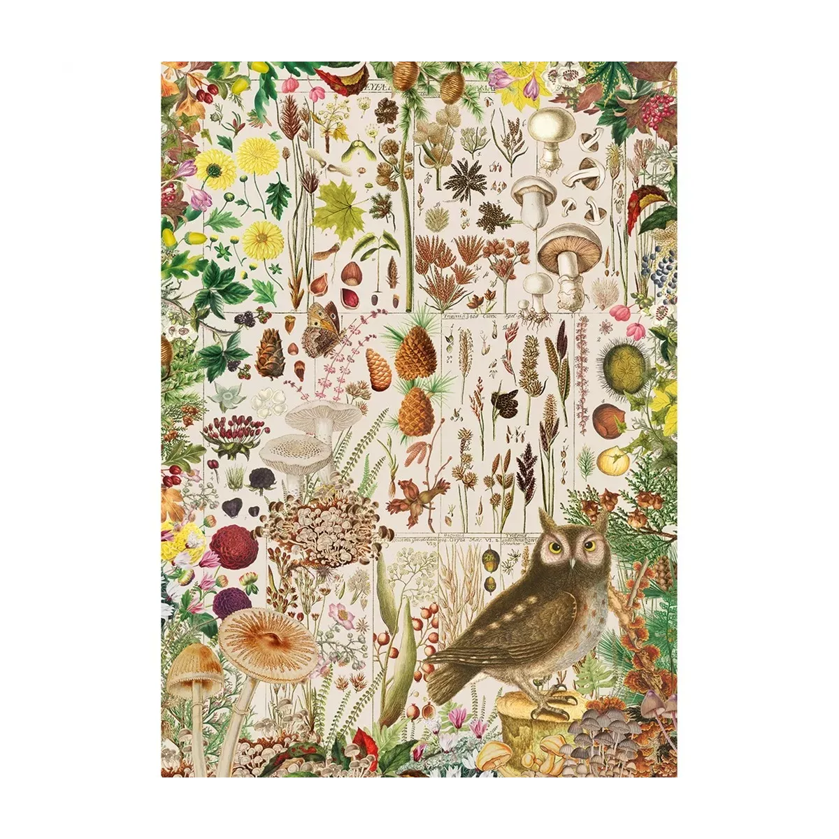 Puzzle Gibsons RHS Lindley : Fall Flora - 1000 pièces 
