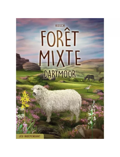 Forêt Mixte Dartmoor