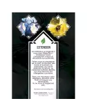Mage Noir : Le Cerf et l’Archère - Extension Végétal 