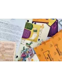 Ministry of Lost Things : Case 1 Lint Condition - Version Anglaise - Jeu de société - PostCurious - Ludum.fr