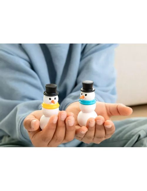 Je voudrais un Bonhomme de Neige 