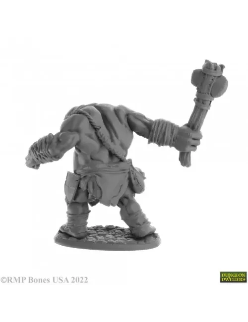 Ogre Clubber, Ogre Fighter - Figurine Créatures Reaper Miniatures 