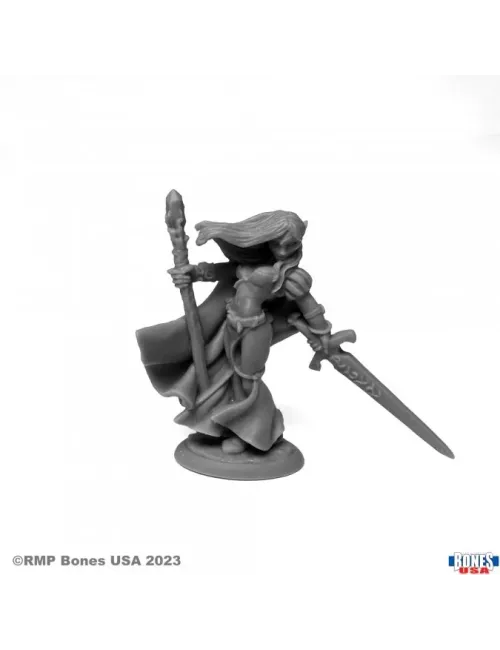 Alastriel, Elf Wizard - Figurine Héros & Héroïnes Reaper Miniatures 