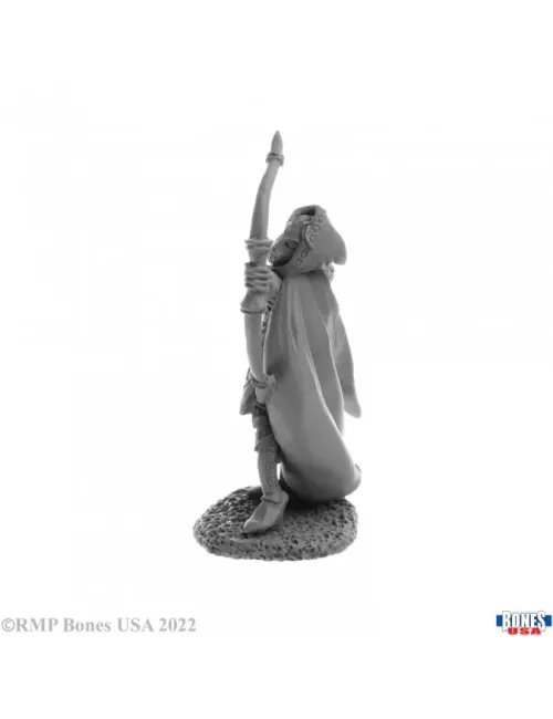 Alistrilee, Elf Archer - Figurine Héros & Héroïnes Reaper Miniatures 