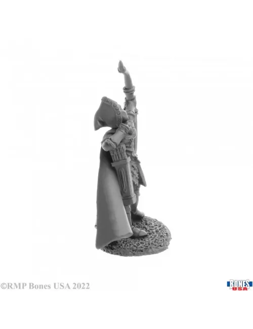 Alistrilee, Elf Archer - Figurine Héros & Héroïnes Reaper Miniatures 