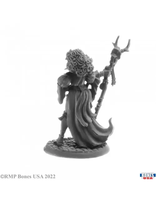 Andowyn Thrushmoor, Human Druid - Figurine Héros & Héroïnes Reaper Miniatures 