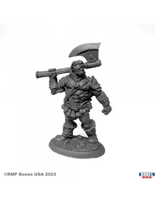 Bertok The Brave, Human Barbarian - Figurine Héros & Héroïnes Reaper Miniatures 