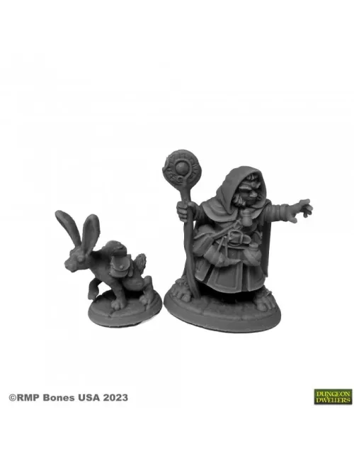 Hollis Grayheath And Verbena - Figurine Héros & Héroïnes Reaper Miniatures 