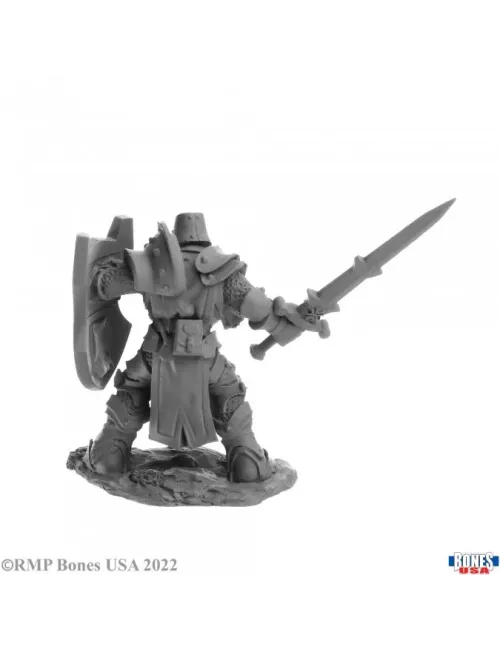 Human Crusader - Figurine Héros & Héroïnes Reaper Miniatures 