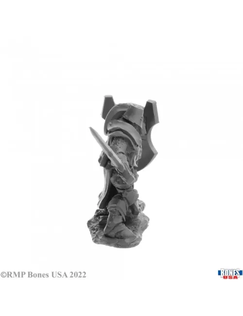 Human Crusader - Figurine Héros & Héroïnes Reaper Miniatures 