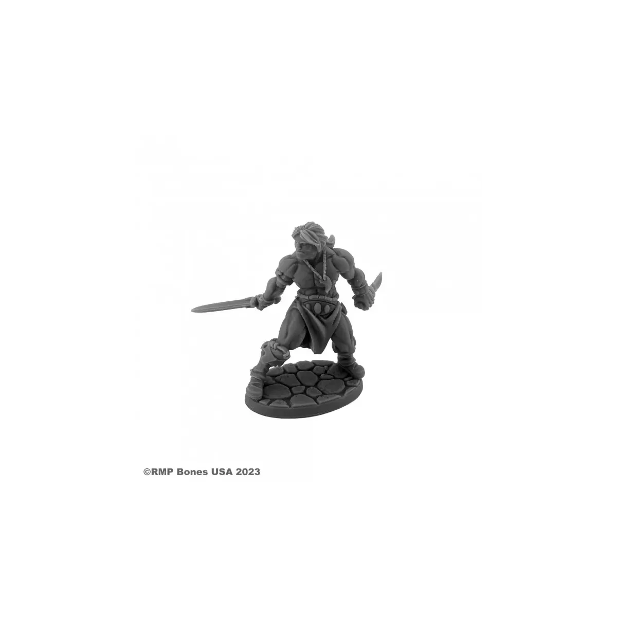 Hyborian Hero - Figurine Héros & Héroïnes Reaper Miniatures 