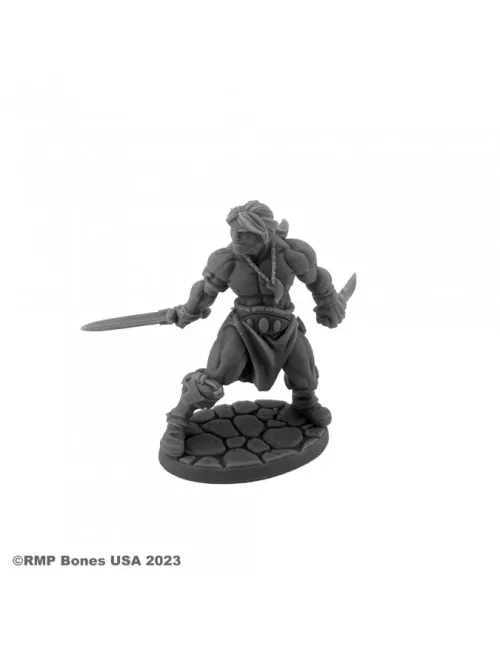 Hyborian Hero - Figurine Héros & Héroïnes Reaper Miniatures 