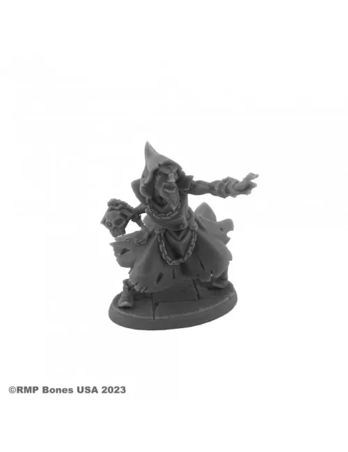 Hyborian Wizard - Figurine Héros & Héroïnes Reaper Miniatures 
