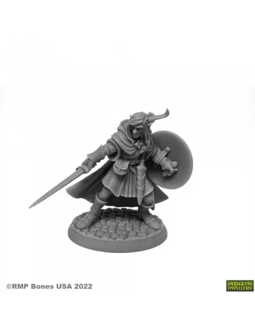 Mellonir Windrunner, Elf Warrior - Figurine Héros & Héroïnes Reaper Miniatures 