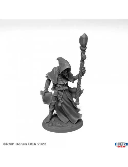 Satheras, Warlock - Figurine Héros & Héroïnes Reaper Miniatures 