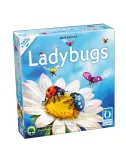 Ladybugs 