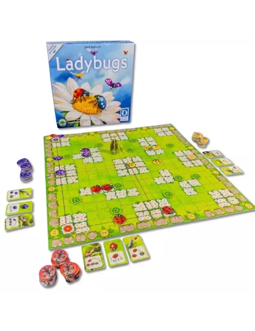 Ladybugs 