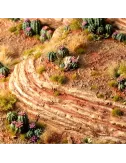 Basing Bits : Barrel Cacti - Gamers Grass 