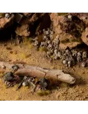 Basing Bits : Skulls & Bones - Gamers Grass 