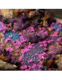 Special Tufts - Tiny : 1mm / 2mm - Gamers Grass Special Tufts - Tiny : 1mm / 2mm - Gamers Grass:Alien Neon - 2mmDécors & Figurin