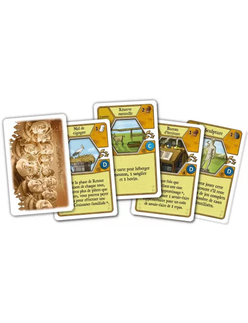 Agricola : Consul Dirigens - ExtensionGestion & Optimisation{image_id}