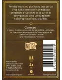 Mini Rogue - Saison 2 : Trône Étincelant - Extension - Ludum.fr