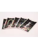 Cathood cartes 1
