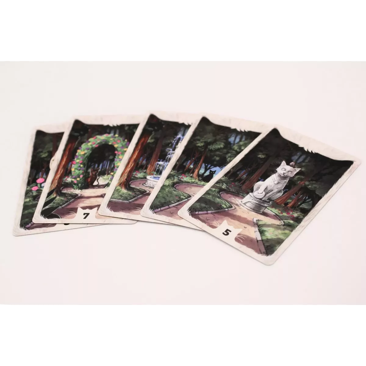 Cathood cartes 1