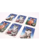 Cathood cartes 3