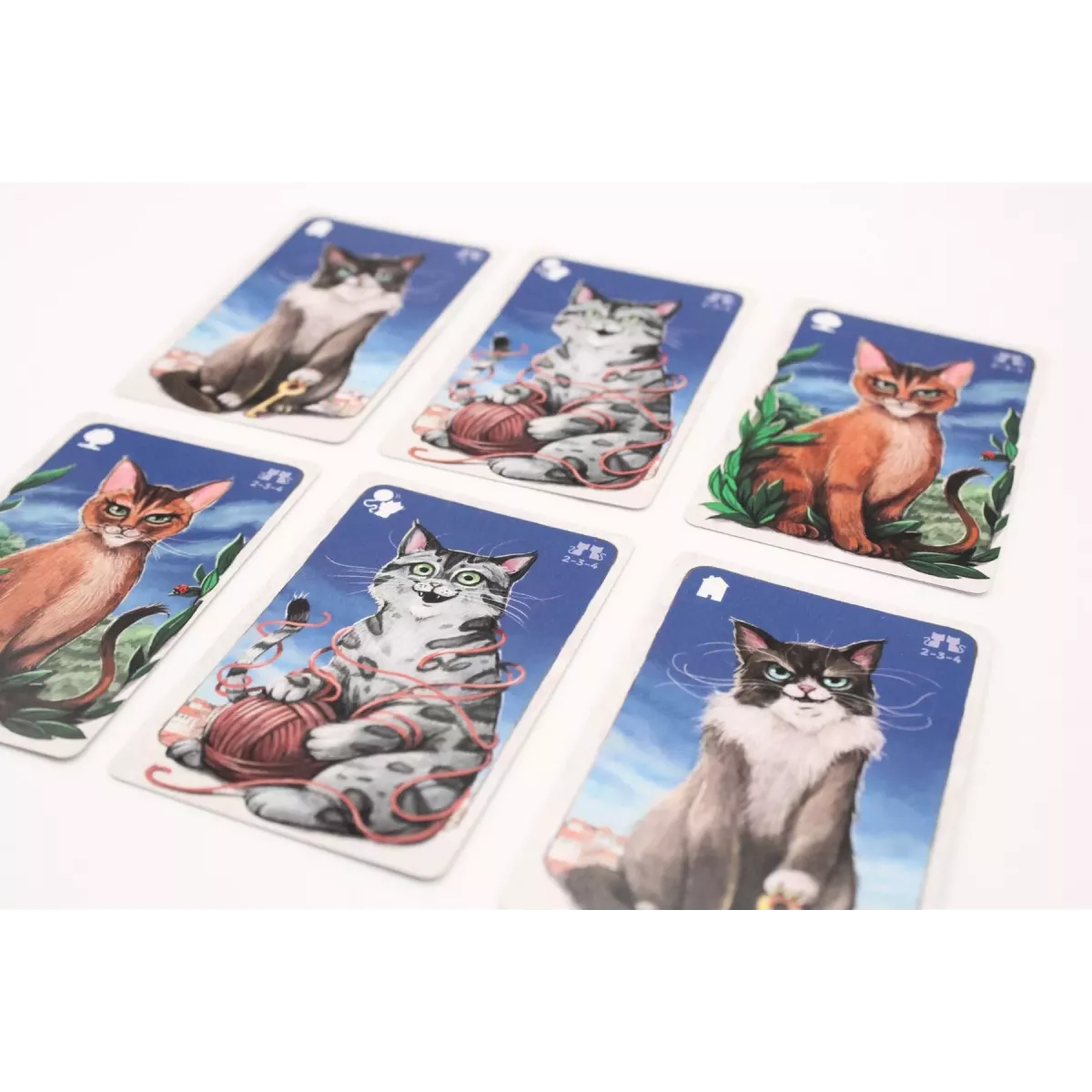 Cathood cartes 3