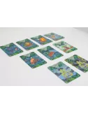 Diluvio cartes 5