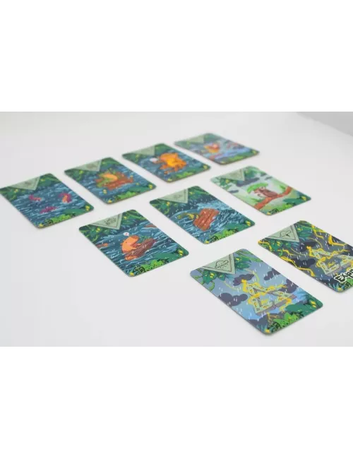 Diluvio cartes 5