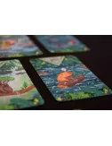 Diluvio cartes 2