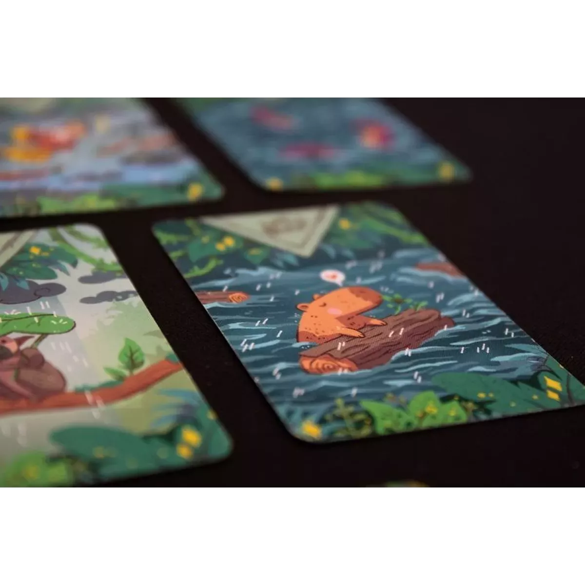 Diluvio cartes 2